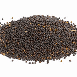 Canola
