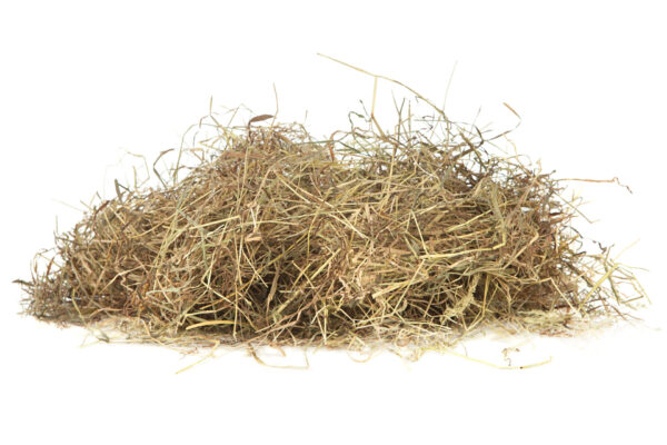 Straw